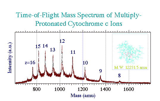 Cytochrome c 多電荷イオンのマススペクトル